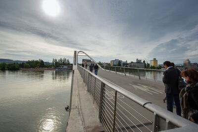 Passerelle des Trois Frontières Passerelle des Trois Frontières