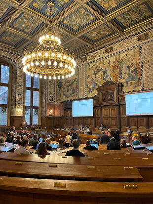 TEB-Districtsrat im Basler Rathaus