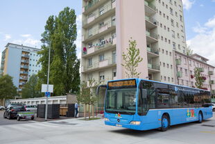Distribus