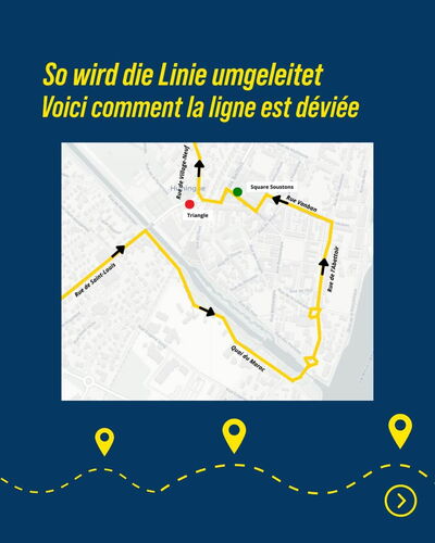 Bus FREUND Llinie 220 - France-EuroAirport-Deutschland Shuttle - Umleitung
